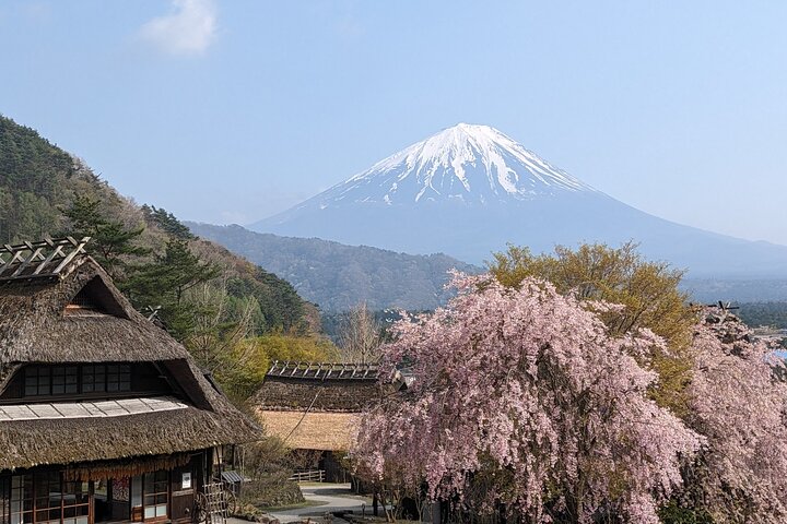 Tour privato in auto sul Monte Fuji, che mostra viste iconiche, laghi e siti culturali in Giappone, foto 28 | wizardtrip