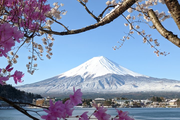 Tour privato in auto sul Monte Fuji, che mostra viste iconiche, laghi e siti culturali in Giappone, foto 31 | wizardtrip