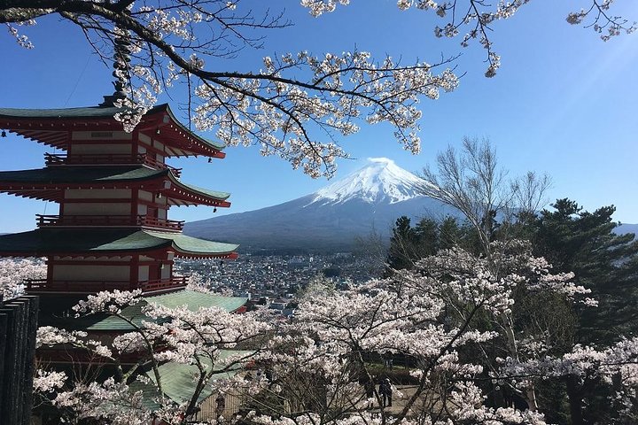 Tour privato in auto sul Monte Fuji, che mostra viste iconiche, laghi e siti culturali in Giappone, foto 33 | wizardtrip
