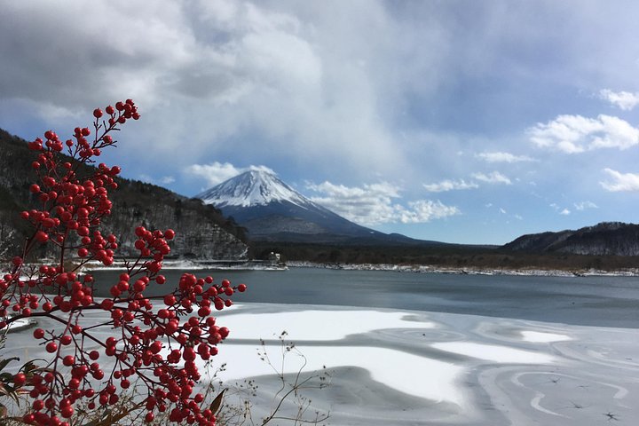 Tour privato in auto sul Monte Fuji, che mostra viste iconiche, laghi e siti culturali in Giappone, foto 43 | wizardtrip