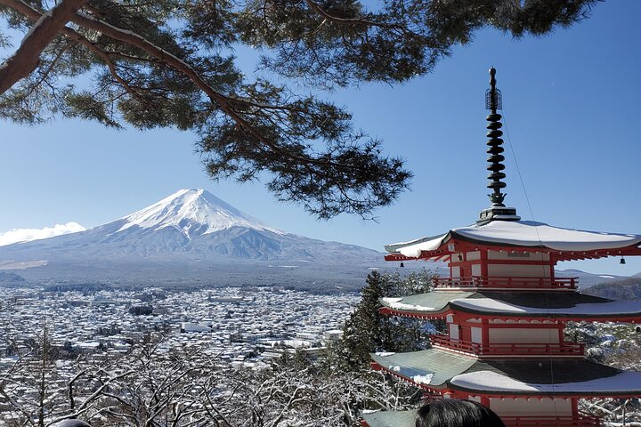 Tour privato in auto sul Monte Fuji, che mostra viste iconiche, laghi e siti culturali in Giappone, foto 45 | wizardtrip
