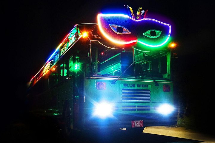 Party bus tour in Aruba with DJ, drinks, and club stops, photo 17 | wizardtrip