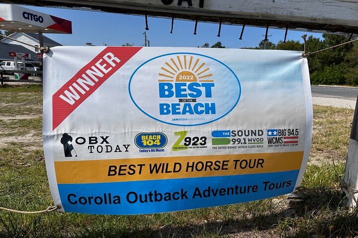 Opplev en villheste-safari i en 4WD-bil langs Outer Banks, foto 7 | wizardtrip