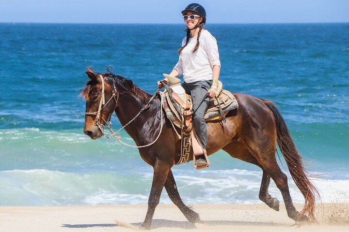 Balade à cheval sur la plage avec transfert depuis Charm el Cheikh | wizardtrip