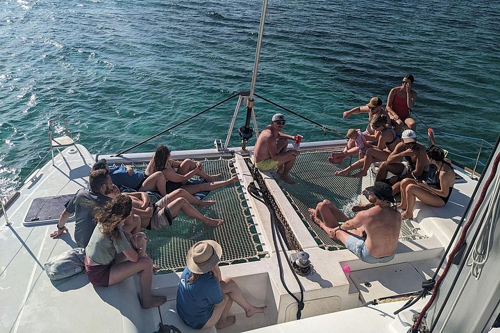 Katamarantur från Nassau för att simma med grisar och snorkla med sköldpaddor, foto 6 | wizardtrip