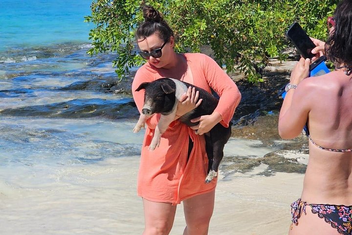 Katamarantur från Nassau för att simma med grisar och snorkla med sköldpaddor, foto 11 | wizardtrip