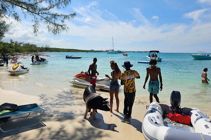 Katamarantur från Nassau för att simma med grisar och snorkla med sköldpaddor, foto 13 | wizardtrip