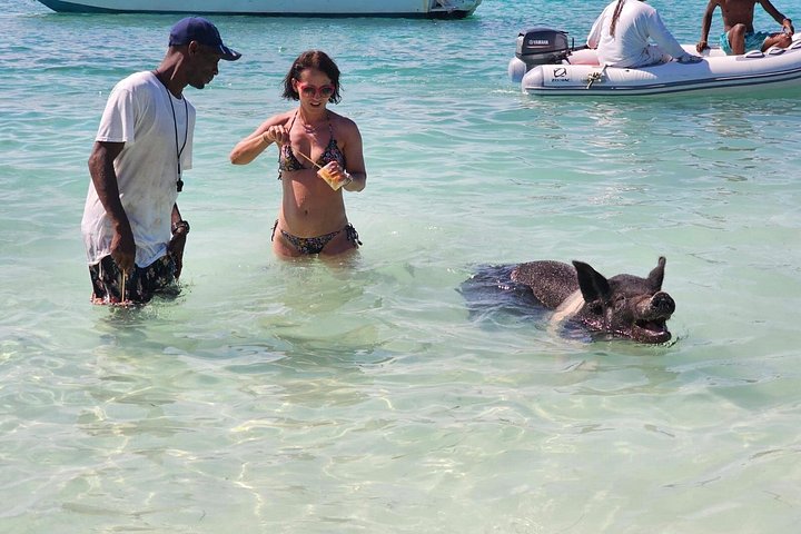 Katamarantur från Nassau för att simma med grisar och snorkla med sköldpaddor, foto 17 | wizardtrip
