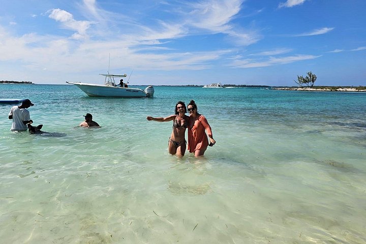Katamarantur från Nassau för att simma med grisar och snorkla med sköldpaddor, foto 21 | wizardtrip