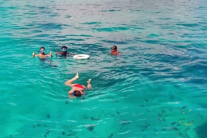 Katamarantur från Nassau för att simma med grisar och snorkla med sköldpaddor, foto 23 | wizardtrip