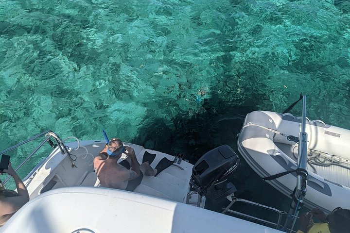 Katamarantur från Nassau för att simma med grisar och snorkla med sköldpaddor, foto 39 | wizardtrip