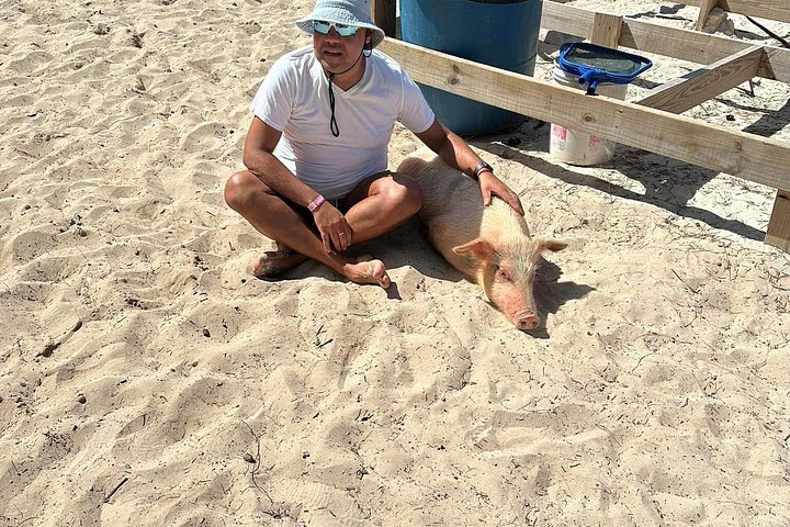 Katamarantur från Nassau för att simma med grisar och snorkla med sköldpaddor, foto 43 | wizardtrip