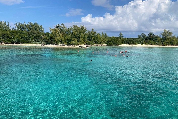 Katamarantur från Nassau för att simma med grisar och snorkla med sköldpaddor, foto 45 | wizardtrip