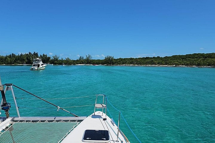 Katamarantur från Nassau för att simma med grisar och snorkla med sköldpaddor, foto 46 | wizardtrip