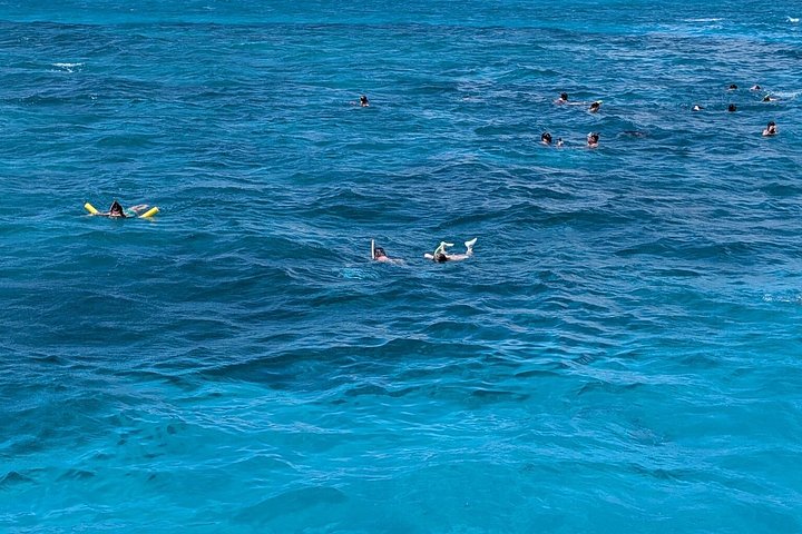 Katamarantur från Nassau för att simma med grisar och snorkla med sköldpaddor, foto 50 | wizardtrip