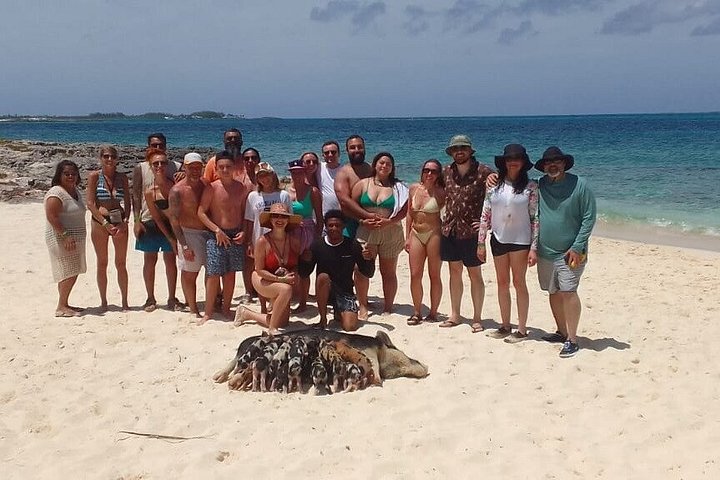 Katamarantur från Nassau för att simma med grisar och snorkla med sköldpaddor, foto 51 | wizardtrip