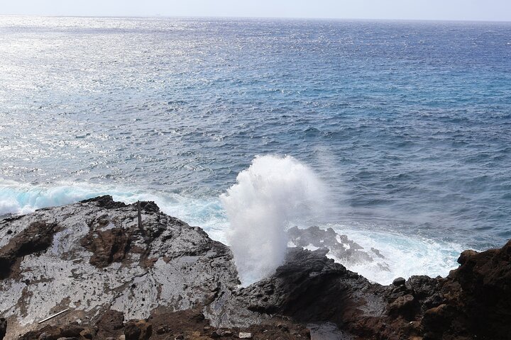 Scenic tour of Oahu's famous lookouts and natural landmarks, photo 14 | wizardtrip