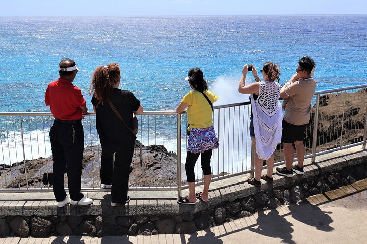 Scenic tour of Oahu's famous lookouts and natural landmarks, photo 15 | wizardtrip