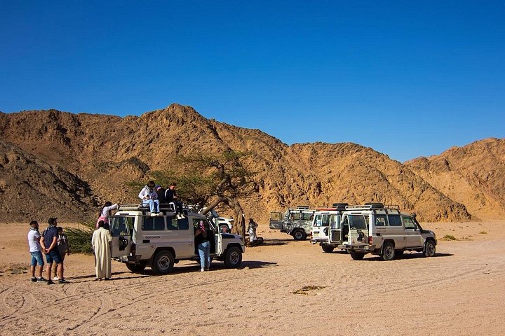 Stargazing tour in Hurghada desert with telescope and Bedouin camp, photo 11 | wizardtrip
