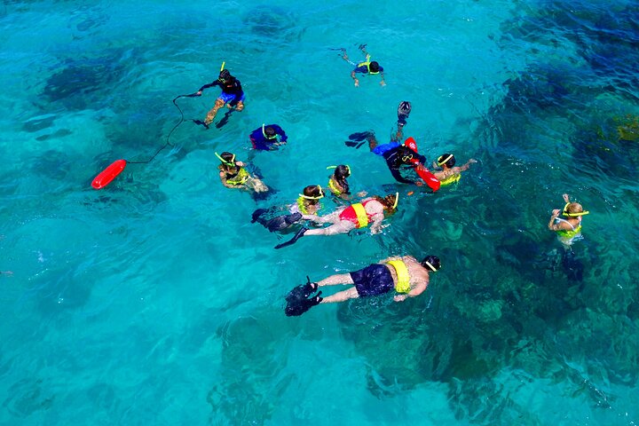 All-inclusive bådtur med snorkling, vandrutsjebane, frokost og drikkevarer til Icacos eller Vieques ø fra Fajardo, Puerto Rico, foto 8 | wizardtrip