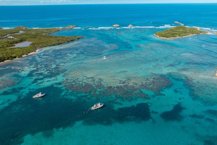 All-inclusive bådtur med snorkling, vandrutsjebane, frokost og drikkevarer til Icacos eller Vieques ø fra Fajardo, Puerto Rico, foto 13 | wizardtrip