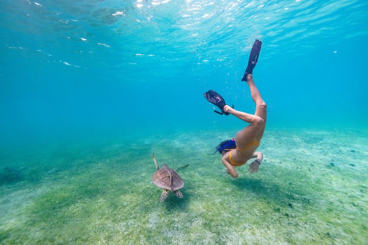 All-inclusive bådtur med snorkling, vandrutsjebane, frokost og drikkevarer til Icacos eller Vieques ø fra Fajardo, Puerto Rico, foto 17 | wizardtrip