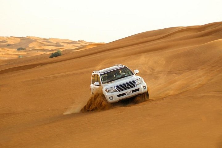 Safari VIP dans le désert à Dubaï avec Quad, Chameau et Dîner BBQ | wizardtrip