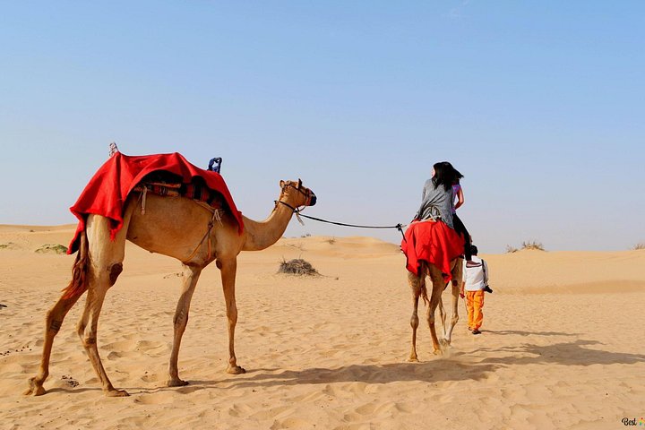Oplev en spændende VIP ørkensafari i Dubai med dune bashing, kamelridning og BBQ middag, foto 7 | wizardtrip