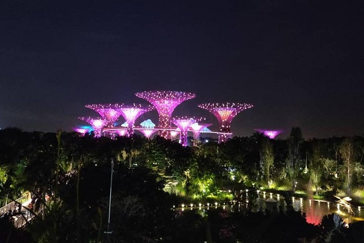 Singapores nattur med flodkryssning, Little India och Gardens by the Bay, foto 6 | wizardtrip