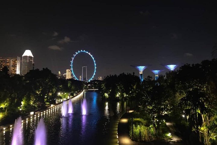 Singapores nattur med flodkryssning, Little India och Gardens by the Bay, foto 7 | wizardtrip