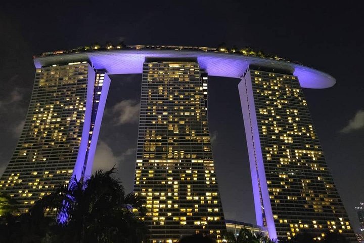 Singapores nattur med flodkryssning, Little India och Gardens by the Bay, foto 8 | wizardtrip