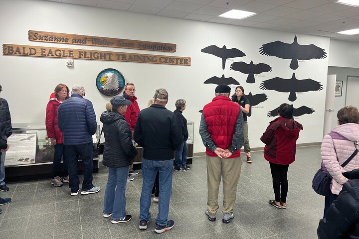 Tour en grupo reducido de los puntos destacados de Sitka, incluyendo osos, rapaces y tótems, foto 11 | wizardtrip