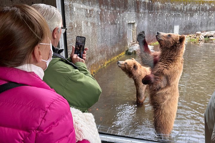 Tour en grupo reducido de los puntos destacados de Sitka, incluyendo osos, rapaces y tótems, foto 15 | wizardtrip