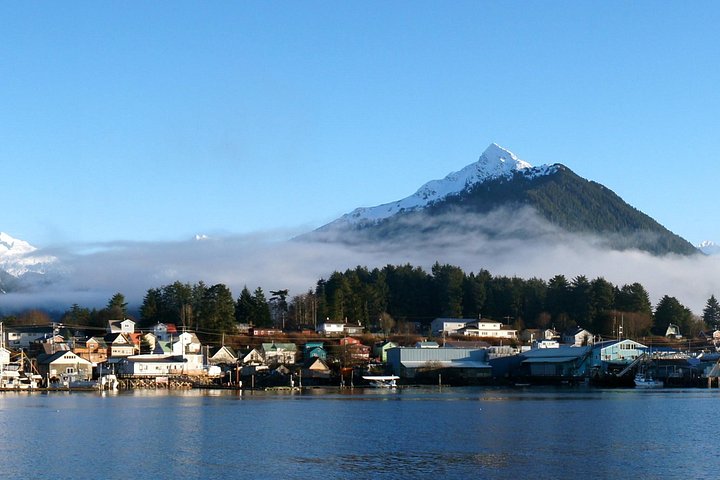 Tour en grupo reducido de los puntos destacados de Sitka, incluyendo osos, rapaces y tótems, foto 34 | wizardtrip