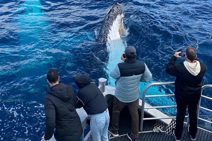 Dunsborough Whale Watching Tour | wizardtrip