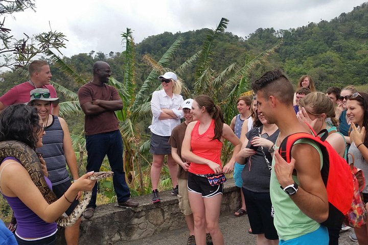 Utforsk St. Lucias mangfoldige landskap, fra vulkanske underverker til frodige regnskoger, på en privat guidet tur, foto 7 | wizardtrip