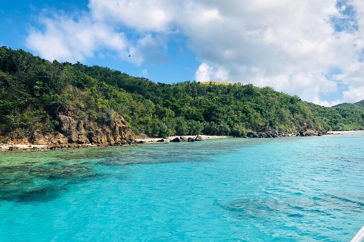 Bootsfahrt zur Insel Culebra zum Schnorcheln und Entspannen am Strand, mit Meeresleben und Sandstränden, Foto 10 | wizardtrip