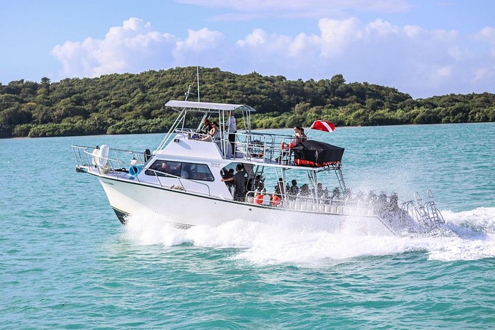 Bootsfahrt zur Insel Culebra zum Schnorcheln und Entspannen am Strand, mit Meeresleben und Sandstränden, Foto 13 | wizardtrip
