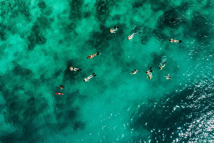 Bootsfahrt zur Insel Culebra zum Schnorcheln und Entspannen am Strand, mit Meeresleben und Sandstränden, Foto 15 | wizardtrip