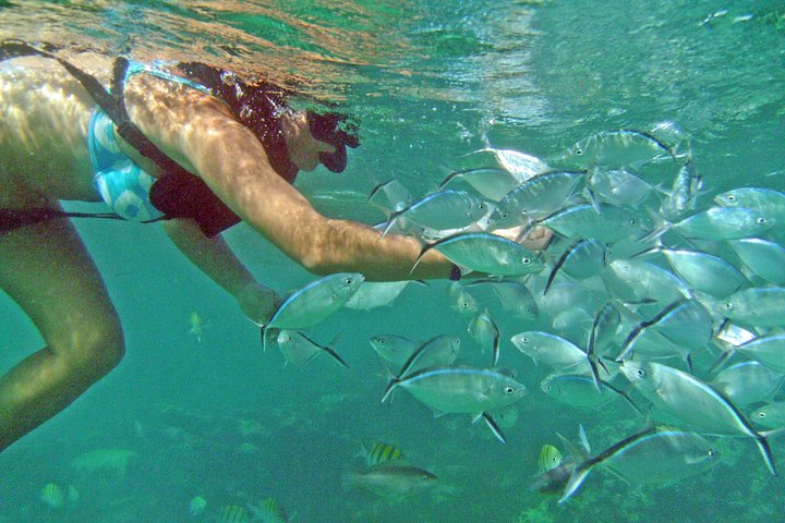 Crucero en barco solo para adultos con barra libre y snorkel en Punta Cana, foto 25 | wizardtrip
