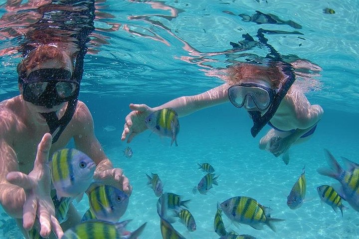 Crucero en barco solo para adultos con barra libre y snorkel en Punta Cana, foto 26 | wizardtrip