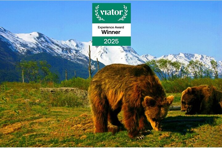 Glacier View & Wildlife Anchorage Adventure Tour | wizardtrip