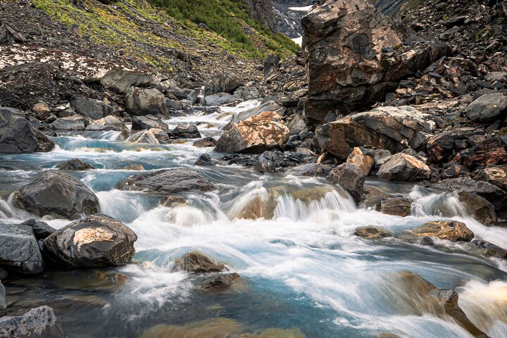 Scenic tour of glaciers, wildlife, and Turnagain Arm near Anchorage, Alaska, photo 10 | wizardtrip