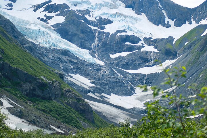 Scenic tour of glaciers, wildlife, and Turnagain Arm near Anchorage, Alaska, photo 12 | wizardtrip