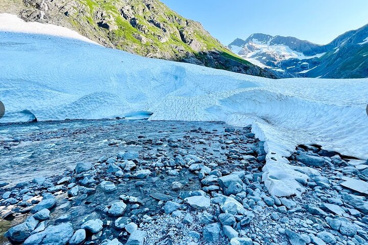 Scenic tour of glaciers, wildlife, and Turnagain Arm near Anchorage, Alaska, photo 18 | wizardtrip