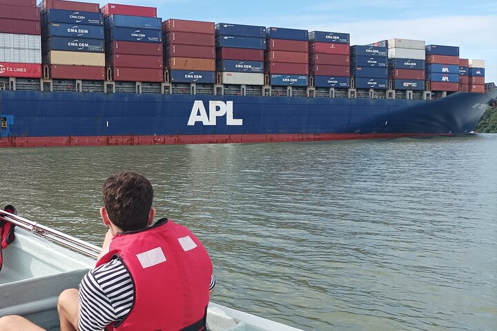 Tier- und Panamakanal-Tour mit Affen, Regenwald und Gatun-See, Foto 6 | wizardtrip