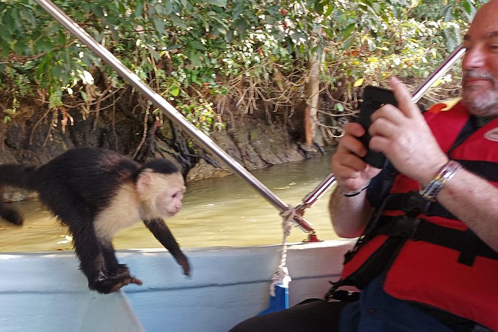 Tier- und Panamakanal-Tour mit Affen, Regenwald und Gatun-See, Foto 28 | wizardtrip