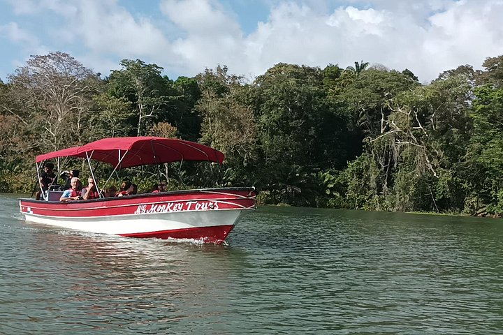 Tier- und Panamakanal-Tour mit Affen, Regenwald und Gatun-See, Foto 35 | wizardtrip