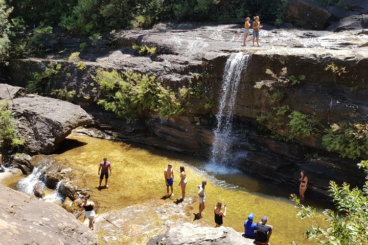 Découvrez les magnifiques Blue Mountains depuis Sydney avec des randonnées vers des cascades, des points de vue panoramiques et des conseils locaux lors d'un tour en petit groupe, photo 7 | wizardtrip