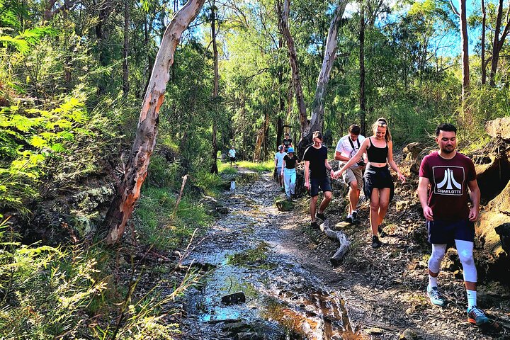 Découvrez les magnifiques Blue Mountains depuis Sydney avec des randonnées vers des cascades, des points de vue panoramiques et des conseils locaux lors d'un tour en petit groupe, photo 9 | wizardtrip